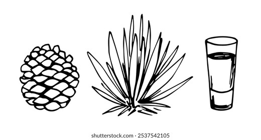 Hand drawn simple vector illustration with black outline. Agave bush, shot glass.  Production of tequila, mezcal. Alcoholic drinks. Sketch in ink.