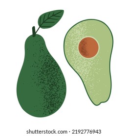 Hand drawn simple whole and cut piece of avocado with seed and leaf, isolated on white vector illustration