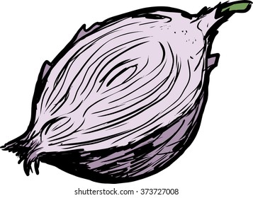 Hand drawn single raw red onion cut in half over white background