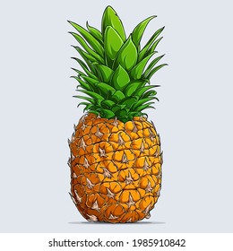 Hand drawn single whole fresh pineapple isolated on white background