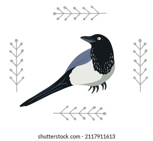Hand drawn sitting magpie bird in flat style decorated with border of folk plants, isolated vector illustration