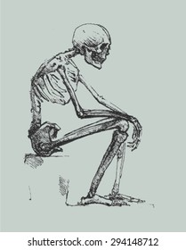 hand drawn skeleton
