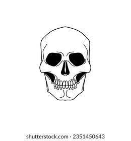 Hand Drawn Skeleton Head. Skull Vector Illustration