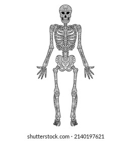 Hand drawn of skeleton in zentangle style