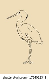 Hand drawn sketch about bird. Vector Illustration.