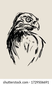 Esbozo dibujado a mano sobre el águila. Ilustración vectorial.