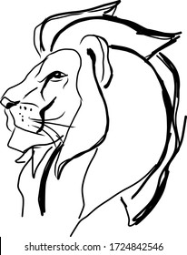Hand drawn sketch about lion portrait. Vector Illustration.