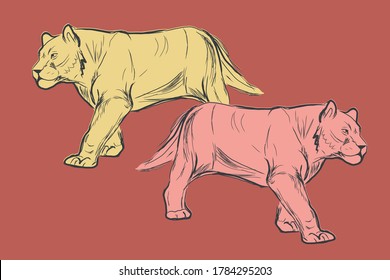 Hand drawn sketch about lions. Vector Illustration with pink, yellow color