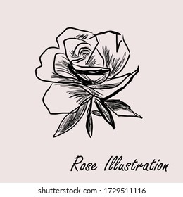 Hand drawn sketch about rose. Vector Illustration.