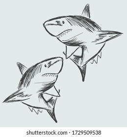 Hand drawn sketch about sharkes. Vector Illustration.
