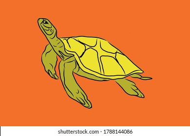 Hand drawn sketch about turtle. Vector Illustration with orange, yellow, green color