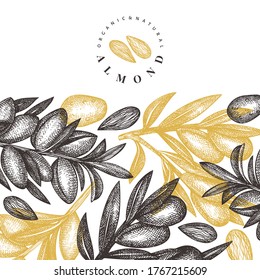 Hand drawn sketch almond design template. Organic food vector illustration. Retro nut illustration. Engraved style botanical background.