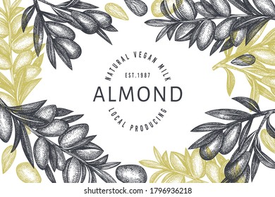 Hand drawn sketch almond design template. Organic food vector illustration. Retro nut illustration. Engraved style botanical background.