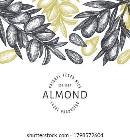 Hand drawn sketch almond design template. Organic food vector illustration. Retro nut illustration. Engraved style botanical background.