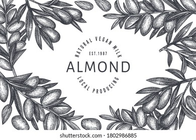 Hand drawn sketch almond design template. Organic food vector illustration. Retro nut illustration. Engraved style botanical background.