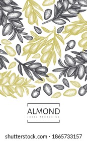 Hand drawn sketch almond design template. Organic food vector illustration. Retro nut illustration. Engraved style botanical background.