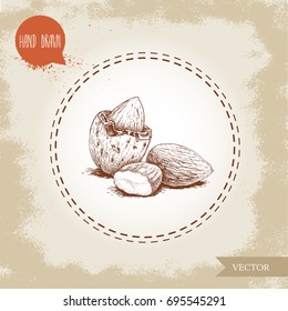 Hand drawn sketch almond nuts. Peeled nuts and nut in nutshell. Group organic superfood isolated on old looking background. Vector illustration.