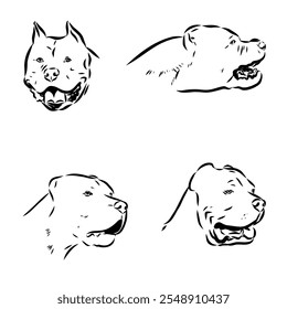 desenho à mão esboço americano bandog