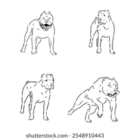 desenho à mão esboço americano bandog