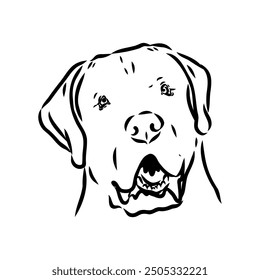 Hand drawn sketch of american bully. Graphical dog isolated on white background.
