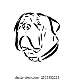 Hand drawn sketch of american bully. Graphical dog isolated on white background.