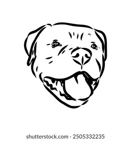 Hand drawn sketch of american bully. Graphical dog isolated on white background.