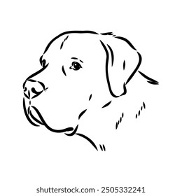 Hand drawn sketch of american bully. Graphical dog isolated on white background.