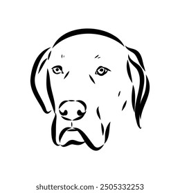 Hand drawn sketch of american bully. Graphical dog isolated on white background.