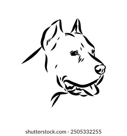 Hand drawn sketch of american bully. Graphical dog isolated on white background.