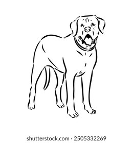 Hand drawn sketch of american bully. Graphical dog isolated on white background.