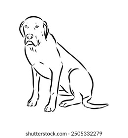 Hand drawn sketch of american bully. Graphical dog isolated on white background.