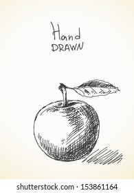 Hand Drawn Sketch Of Apple