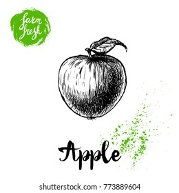 Hand drawn sketch apple with leaf sticker poster. Vitamin and healthy farm fresh fruit vector illustration isolated on white background.