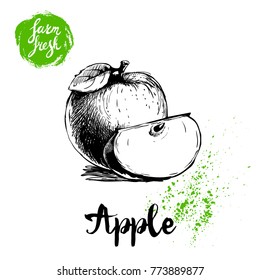 Hand drawn sketch apple with leaf and cut of apple poster. Vitamin and healthy farm fresh fruit vector illustration isolated on white background.