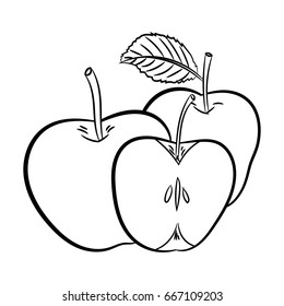 Hand drawn sketch of Apples isolated, Black and White Cartoon Vector Illustration for Coloring Book - Line Drawn Vector