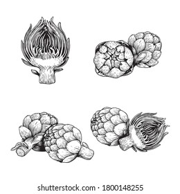 Hand drawn sketch artichokes. Healthy farm fresh vegetables. Whole and halved. Ink drawings. Vector illustrations isolated on white background.