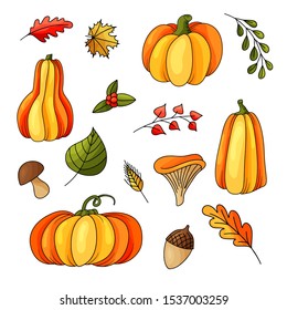 Hand drawn sketch with autumn elements. Orange harvest. Nature design for your background. Vector illustration.