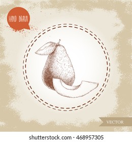 Hand drawn sketch avocado fruits composition. Whole avocado and slice. Vector illustration of eco food.