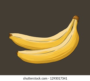 Hand drawn sketch of banana in color isolated on dark background. Detailed vintage style drawing. Vector illustration