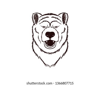 hand drawn sketch of bear head in retro style