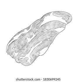 Hand drawn sketch of beef detailed ink food illustration