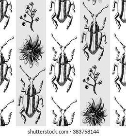 Hand drawn Sketch Beetles Seamless Pattern. Art wallpaper with insects for prints or other creative design. Vintage style background