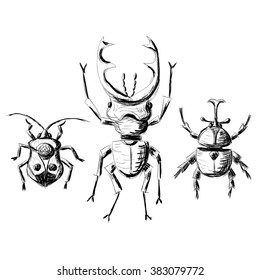 Hand drawn sketch beetles set (1 of 4). Art collection insects for prints or design. Isolated on white