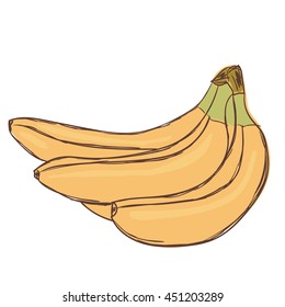  Hand drawn sketch berry . Vector illustration of eco food. Banana