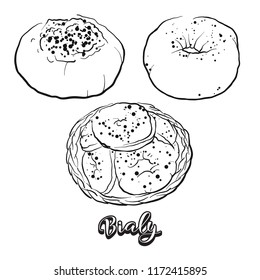 Hand drawn sketch of Bialy bread. Vector drawing of Yeast bread food, usually known in Central Europe. Bread illustration series.