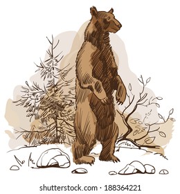hand drawn sketch of big bear 