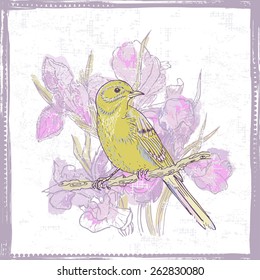 Hand drawn  sketch of bird and  watercolor iris  flowers. All objects are conveniently grouped  and are easily editable.