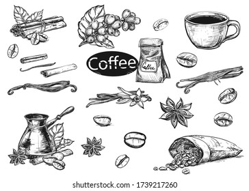 Hand drawn sketch black and white coffee set. Vector illustration of coffee cup, beans, leaf, branch, vanilla, turka, cinnamon, bag, branch. Elements in graphic style menu.