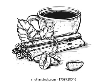 Hand drawn sketch black and white. Vector illustration of coffee cup, beans, leaf, branch, vanilla, turka, cinnamon. Elements in graphic style menu