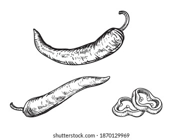 Hand drawn sketch black and white set of hot pepper, slice. vector illustration. Elements in graphic style label, card, sticker, menu, package, poster.